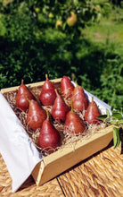 Load image into Gallery viewer, Starkrimson Pears