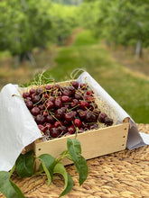 Load image into Gallery viewer, Bing Cherries-Sold Out
