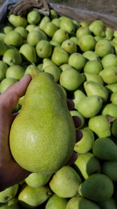 Bartlett Pears