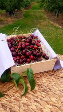 Load image into Gallery viewer, Bing Cherries-Sold Out
