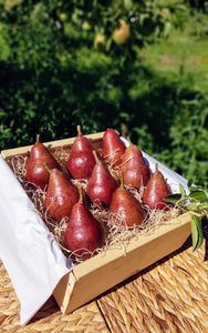 Starkrimson Pears