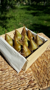 Bosc Pears